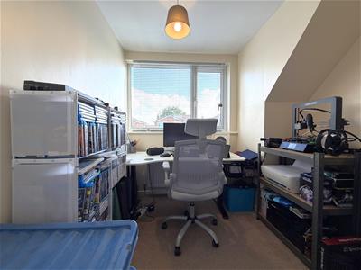 Picture 11